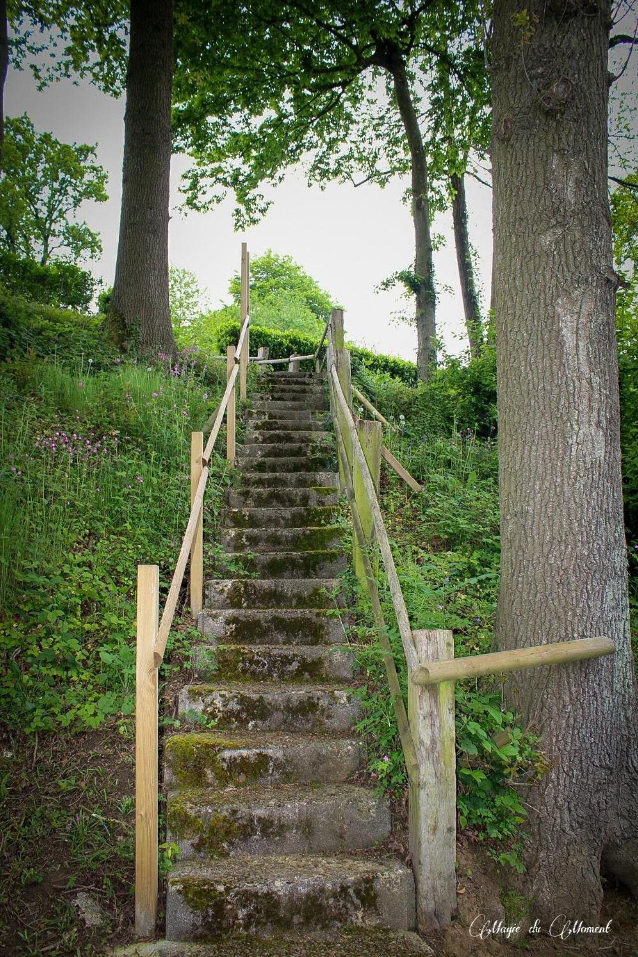 Camping La Sabliere Saint-Jans-Cappel Exterior foto